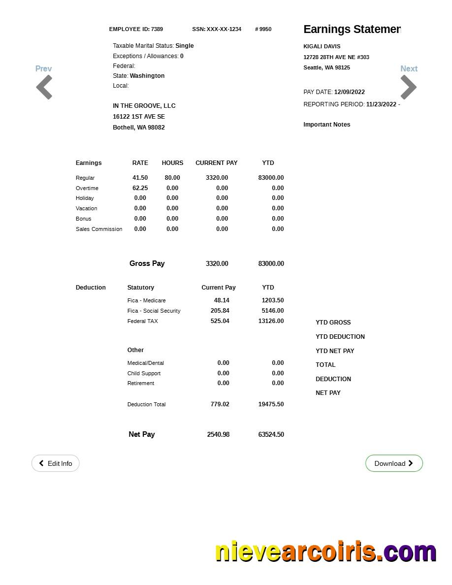 IN THE GROOVE, LLC earnings statement